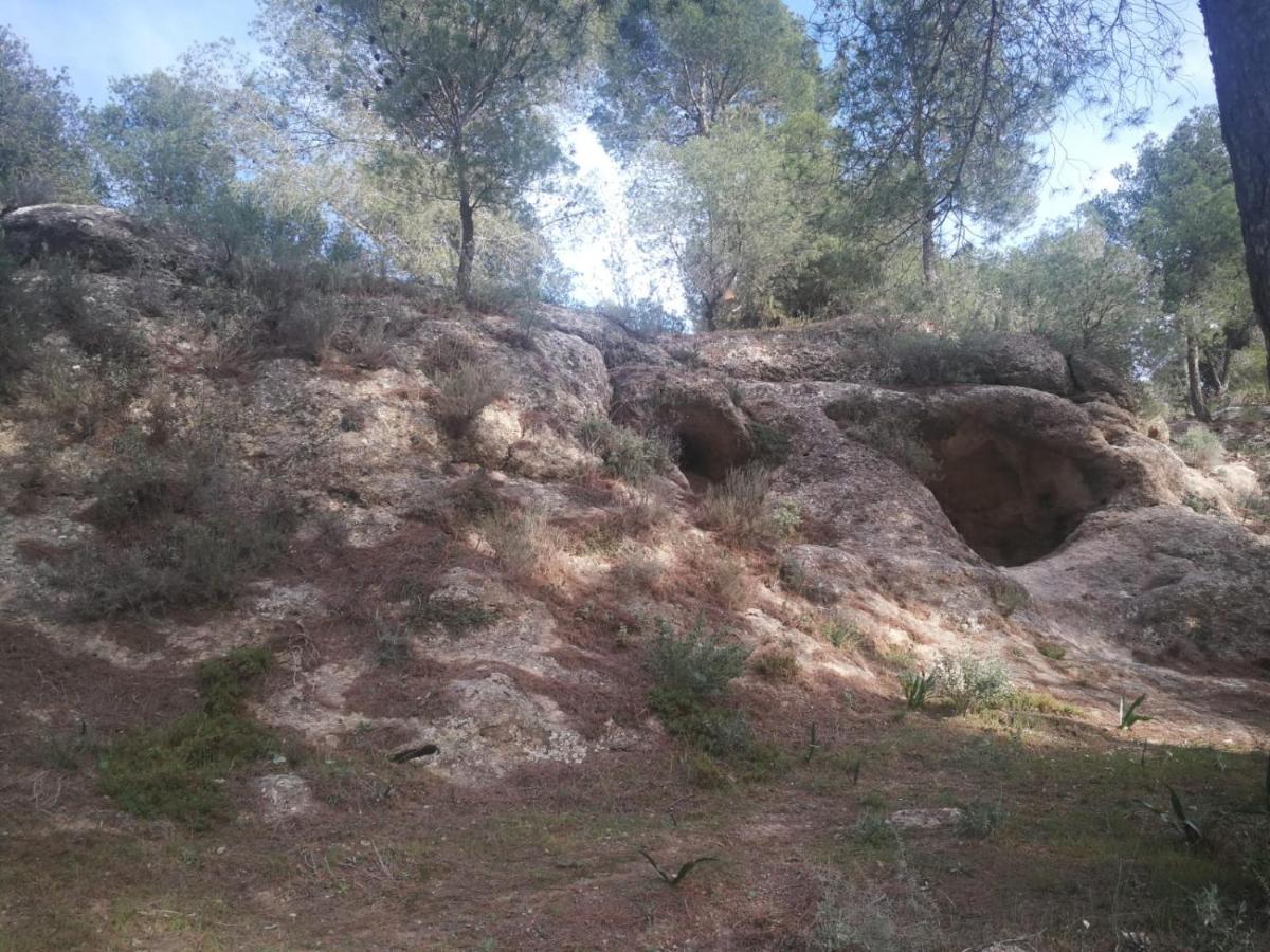 Alojamiento Rural El Paraiso Del Chorro Exterior foto
